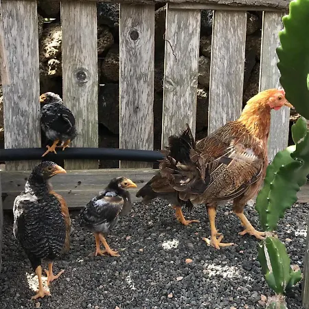 Eslanzarote Eco Country House, Star View Area, Super Wifi, Barbecue Nyaraló