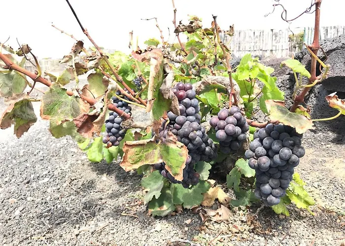 Eslanzarote Eco Country House, Star View Area, Super Wifi, Barbecue * Teguise (Lanzarote)