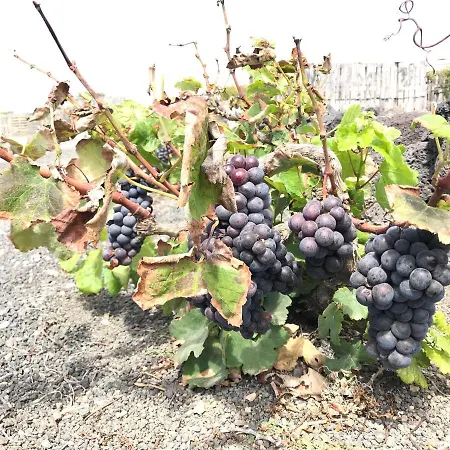 Eslanzarote Eco Country House, Star View Area, Super Wifi, Barbecue * Teguise (Lanzarote)