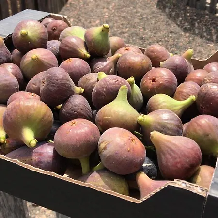 Eslanzarote Eco Country House, Star View Area, Super Wifi, Barbecue Casa de Férias