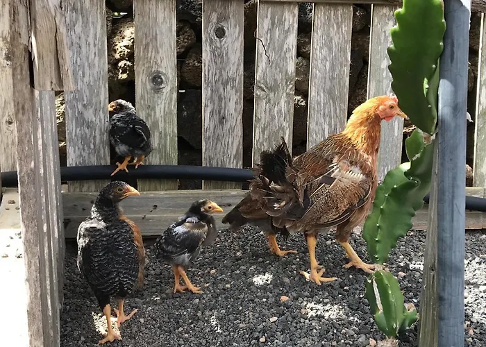 Eslanzarote Eco Country House, Star View Area, Super Wifi, Barbecue Casa vacanze