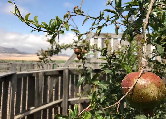 Eslanzarote Eco Country House, Star View Area, Super Wifi, Barbecue Holiday home Teguise (Lanzarote)