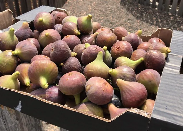 Eslanzarote Eco Country House, Star View Area, Super Wifi, Barbecue Casa vacanze